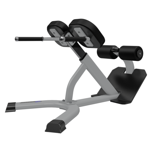 Nautilus Instinct 45 Degree Back Extension