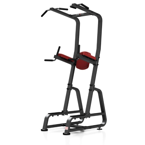 Professionel Dips Og Mavetræningsstativ