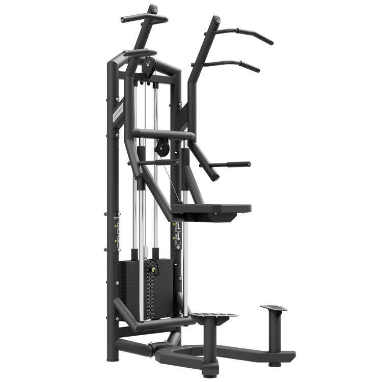 Pullup  Og Dipstation Fra Upform  Skaffevare